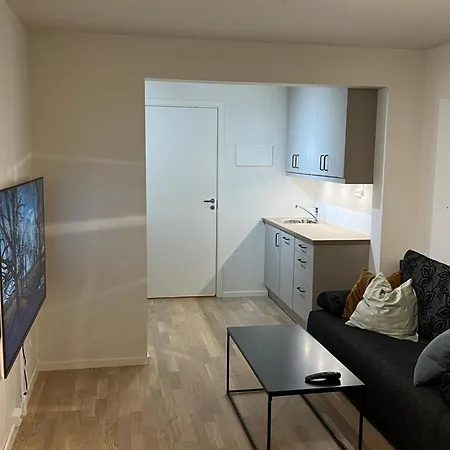 1-room Of 20kvm For 1-2 People *