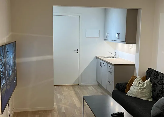 1-room Of 20kvm For 1-2 People *