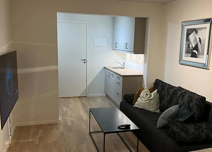1-room Of 20kvm For 1-2 People Lejlighed Tromsø